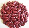 British   red   kidney  bean