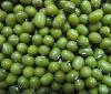green mung bean