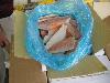 Frozen ocean  perch   fillet 