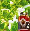 basil honey
