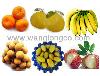 Fresh  Fruit s
