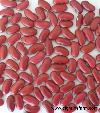 DARK RED KIDNEY BEANS