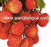 Litchi