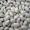 white kidney beans