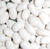 white kidney bean