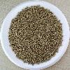 coriander seed