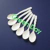 PLA Products-biodegradable  tea  spoon