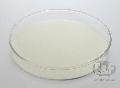 Dicalcium Phosphate ( DCP )