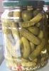 Canned Cucumber