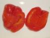 Canned Red Pepper/Canned Sweet Red Pepper