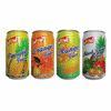 Can ned juice