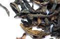 pu-erh tea(chun xiang xing)