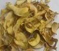 porcini