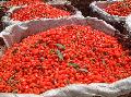 Dried Goji Berries (Wolfberries) - Lycium Barbarum L