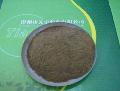yeast powder