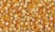 Yellow Corn