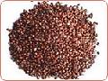 Grape Seed Extract, Grape Skin extract