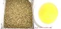 White tea fanning/ white tea/ tea