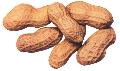peanut inshell (round)