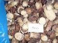 Frozen Boletus Edulis (IQF/Frozen wild mushroom)