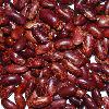 puple speckled kidney beans