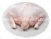 Chicken  Saddle 