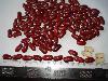 BRITISH TYPE RED KIDNEY BEANS