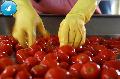 36-38% apestic tomato paste