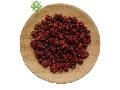 Schisandra Fruit