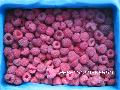 IQF  whole   raspberry 