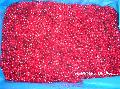 IQF lingoberry