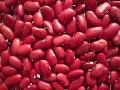 Small red kidney bean