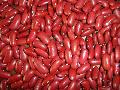 Dark red kidney bean