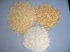  DEHYDRATED   GARLIC   FLAKE / GRANUL ES/POWDER