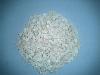 WATER  MELON   SEED   KERNELS 