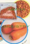 Carrot Powder