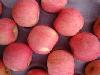Fuji apple