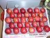  red   delicious  apple