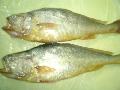 Frozen Yellow Croaker