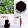 Bilberry Extract/ Bilberry P.E./ Bilberry Powder Extract