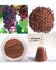 Grape seed extract