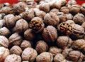  yunnan   walnut 