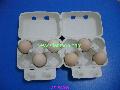 egg box 6 cavity