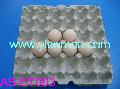 egg tray