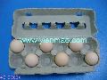  egg   box  12 cavity