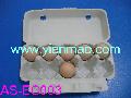 egg box 10 cavity