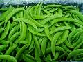 Fresh Sugar Snap Pea