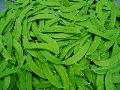  Fresh   Snow  Pea