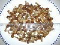 Nameko in brine