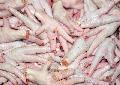chicken feet and paw
